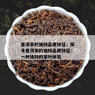 普洱茶的独特品质特征，探寻普洱茶的独特品质特征：一种独特的茶叶体验