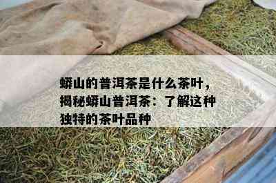 蟒山的普洱茶是什么茶叶，揭秘蟒山普洱茶：了解这种独特的茶叶品种