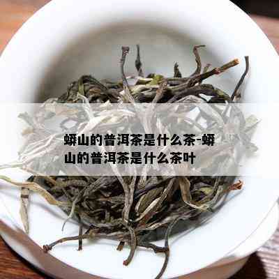 蟒山的普洱茶是什么茶-蟒山的普洱茶是什么茶叶