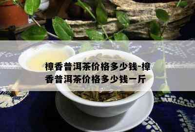 樟香普洱茶价格多少钱-樟香普洱茶价格多少钱一斤