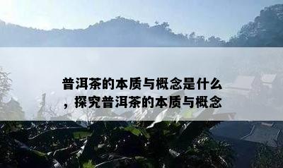 普洱茶的本质与概念是什么，探究普洱茶的本质与概念