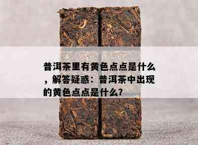 普洱茶里有黄色点点是什么，解答疑惑：普洱茶中出现的黄色点点是什么？