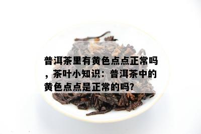 普洱茶里有黄色点点正常吗，茶叶小知识：普洱茶中的黄色点点是正常的吗？