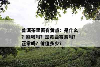 普洱茶里面有黄点：是什么？能喝吗？是黄曲霉素吗？正常吗？价值多少？