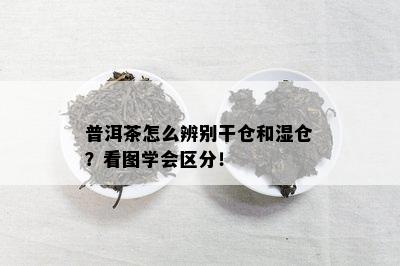 普洱茶怎么辨别干仓和湿仓？看图学会区分！