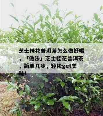 芝士桂花普洱茶怎么做好喝，「做法」芝士桂花普洱茶，简单几步，轻松get美味！