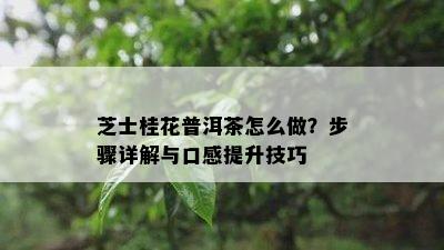 芝士桂花普洱茶怎么做？步骤详解与口感提升技巧