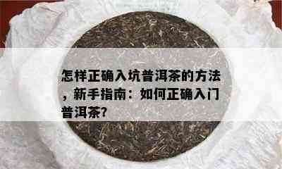 怎样正确入坑普洱茶的方法，新手指南：如何正确入门普洱茶？