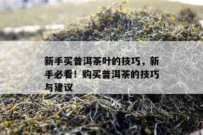 新手买普洱茶叶的技巧，新手必看！购买普洱茶的技巧与建议