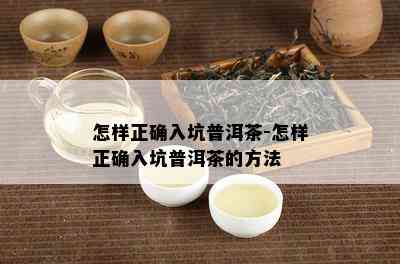 怎样正确入坑普洱茶-怎样正确入坑普洱茶的方法