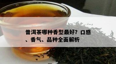 普洱茶哪种香型更好？口感、香气、品种全面解析