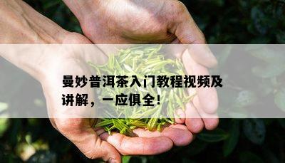 曼妙普洱茶入门教程视频及讲解，一应俱全！