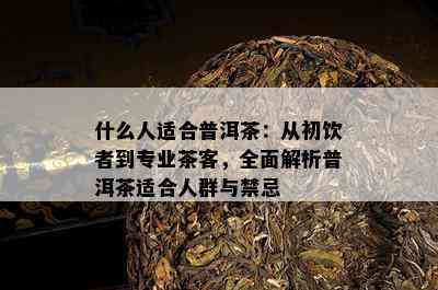 什么人适合普洱茶：从初饮者到专业茶客，全面解析普洱茶适合人群与禁忌