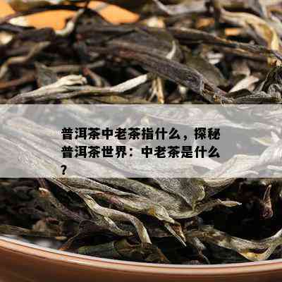 普洱茶中老茶指什么，探秘普洱茶世界：中老茶是什么？