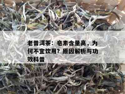 老普洱茶：皂素含量高，为何不宜饮用？原因解析与功效科普