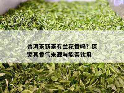 普洱茶新茶有兰花香吗？探究其香气来源与能否饮用