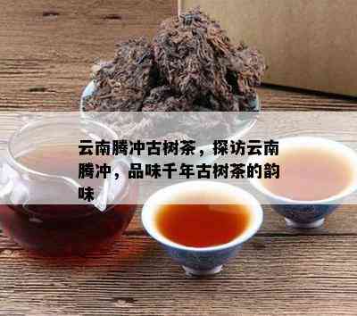 云南腾冲古树茶，探访云南腾冲，品味千年古树茶的韵味