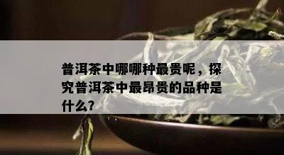 普洱茶中哪哪种最贵呢，探究普洱茶中最昂贵的品种是什么？