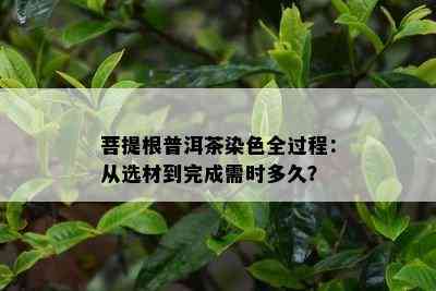 菩提根普洱茶染色全过程：从选材到完成需时多久？