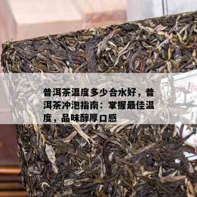 普洱茶温度多少合水好，普洱茶冲泡指南：掌握更佳温度，品味醇厚口感