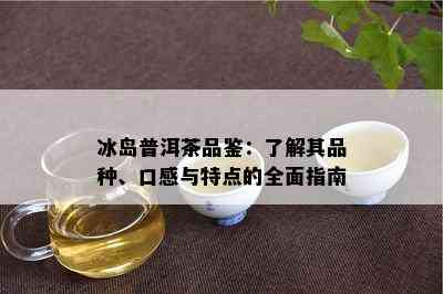 冰岛普洱茶品鉴：了解其品种、口感与特点的全面指南