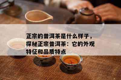 正宗的普洱茶是什么样子，探秘正宗普洱茶：它的外观特征和品质特点