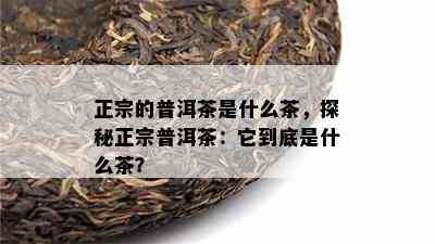 正宗的普洱茶是什么茶，探秘正宗普洱茶：它到底是什么茶？