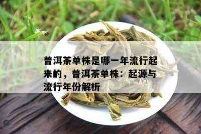 普洱茶单株是哪一年流行起来的，普洱茶单株：起源与流行年份解析