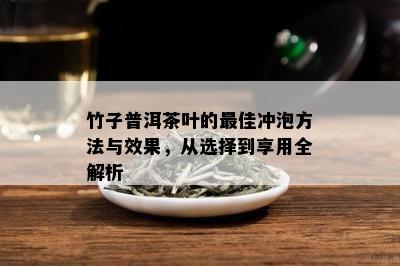 竹子普洱茶叶的更佳冲泡方法与效果，从选择到享用全解析