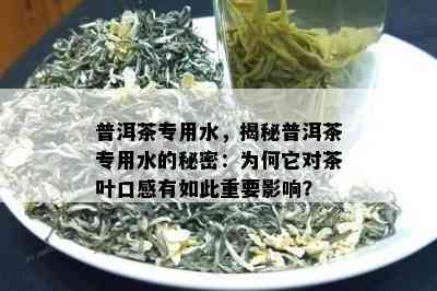 普洱茶专用水，揭秘普洱茶专用水的秘密：为何它对茶叶口感有如此重要影响？