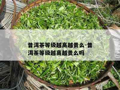 普洱茶等级越高越贵么-普洱茶等级越高越贵么吗