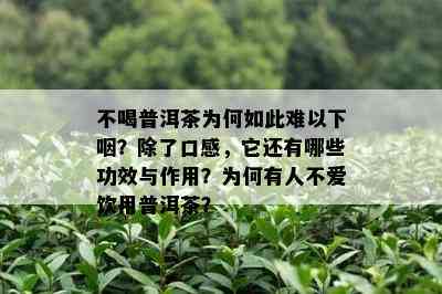 不喝普洱茶为何如此难以下咽？除了口感，它还有哪些功效与作用？为何有人不爱饮用普洱茶？