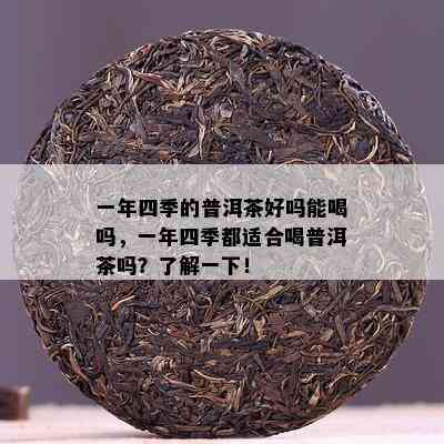 一年四季的普洱茶好吗能喝吗，一年四季都适合喝普洱茶吗？了解一下！