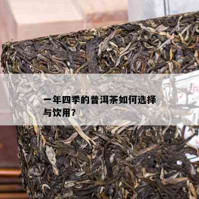 一年四季的普洱茶如何选择与饮用？