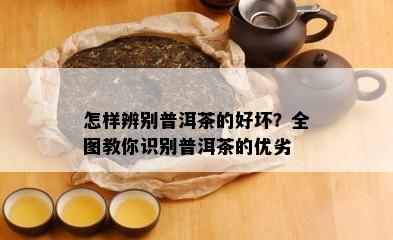 怎样辨别普洱茶的好坏？全图教你识别普洱茶的优劣