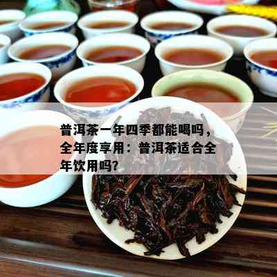 普洱茶一年四季都能喝吗，全年度享用：普洱茶适合全年饮用吗？