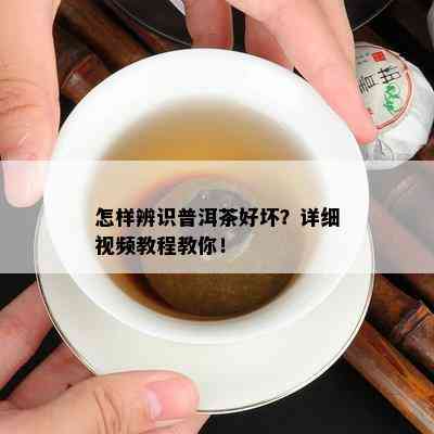 怎样辨识普洱茶好坏？详细视频教程教你！