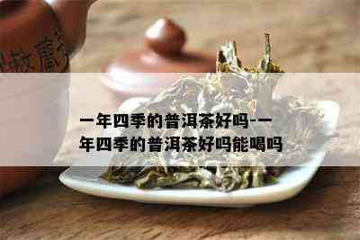 一年四季的普洱茶好吗-一年四季的普洱茶好吗能喝吗