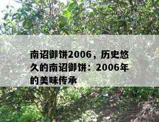 南诏御饼2006，历史悠久的南诏御饼：2006年的美味传承