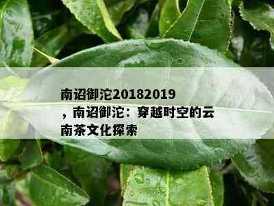 南诏御沱20182019，南诏御沱：穿越时空的云南茶文化探索