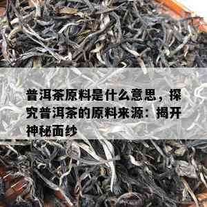 普洱茶原料是什么意思，探究普洱茶的原料来源：揭开神秘面纱