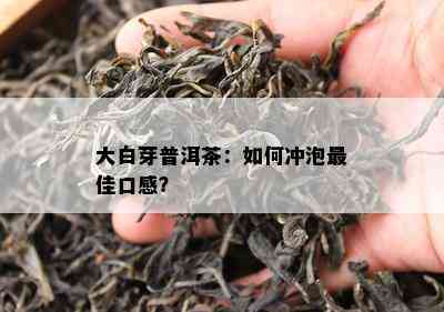 大白芽普洱茶：如何冲泡更佳口感？