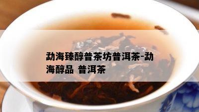 勐海臻醇普茶坊普洱茶-勐海醇品 普洱茶