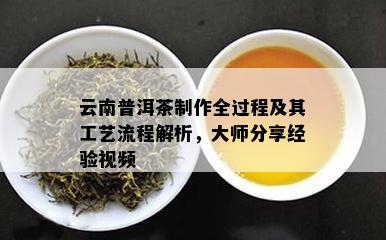 云南普洱茶制作全过程及其工艺流程解析，大师分享经验视频