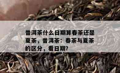 普洱茶什么日期算春茶还是夏茶，普洱茶：春茶与夏茶的区分，看日期？