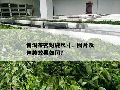 普洱茶密封袋尺寸、图片及包装效果如何?