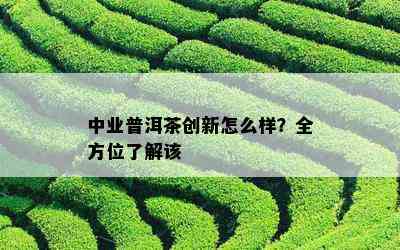 中业普洱茶创新怎么样？全方位了解该