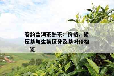 春韵普洱茶熟茶：价格、紧压茶与生茶区分及茶叶价格一览