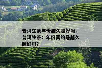 普洱生茶年份越久越好吗，普洱生茶：年份真的是越久越好吗？