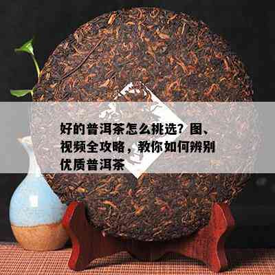 好的普洱茶怎么挑选？图、视频全攻略，教你如何辨别优质普洱茶